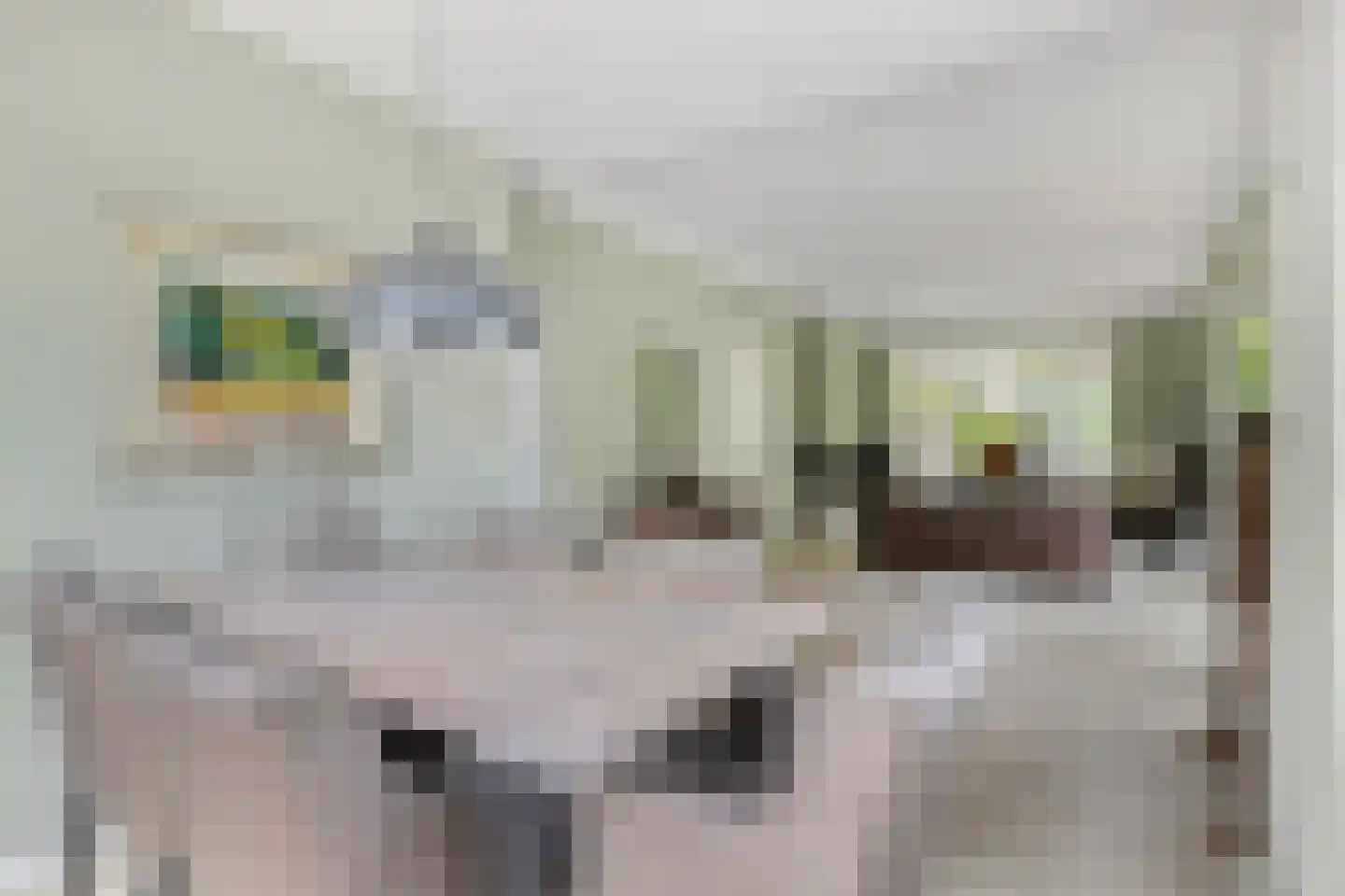 Van Aelstlaan 24 Apeldoorn thumbnail 10