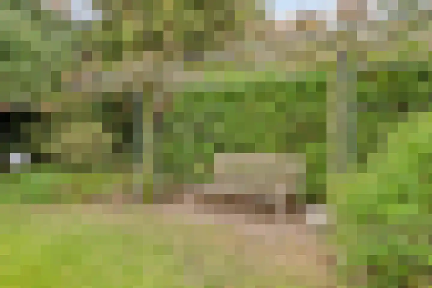 Van Aelstlaan 24 Apeldoorn thumbnail 38