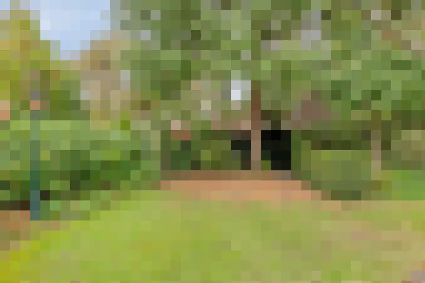 Van Aelstlaan 24 Apeldoorn thumbnail 39