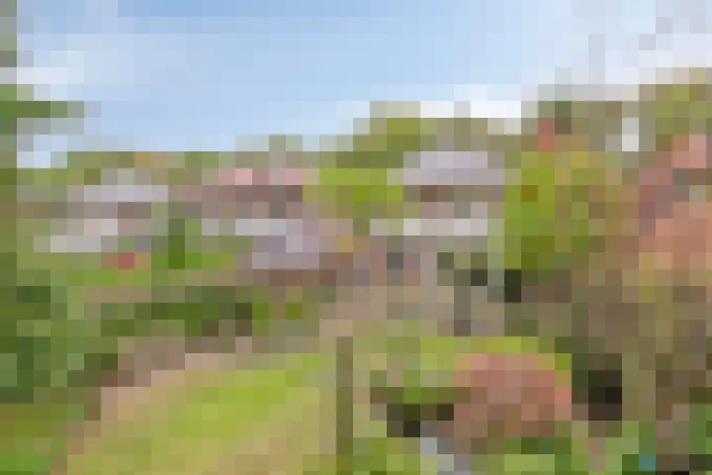 Van Aelstlaan 24 Apeldoorn thumbnail 4