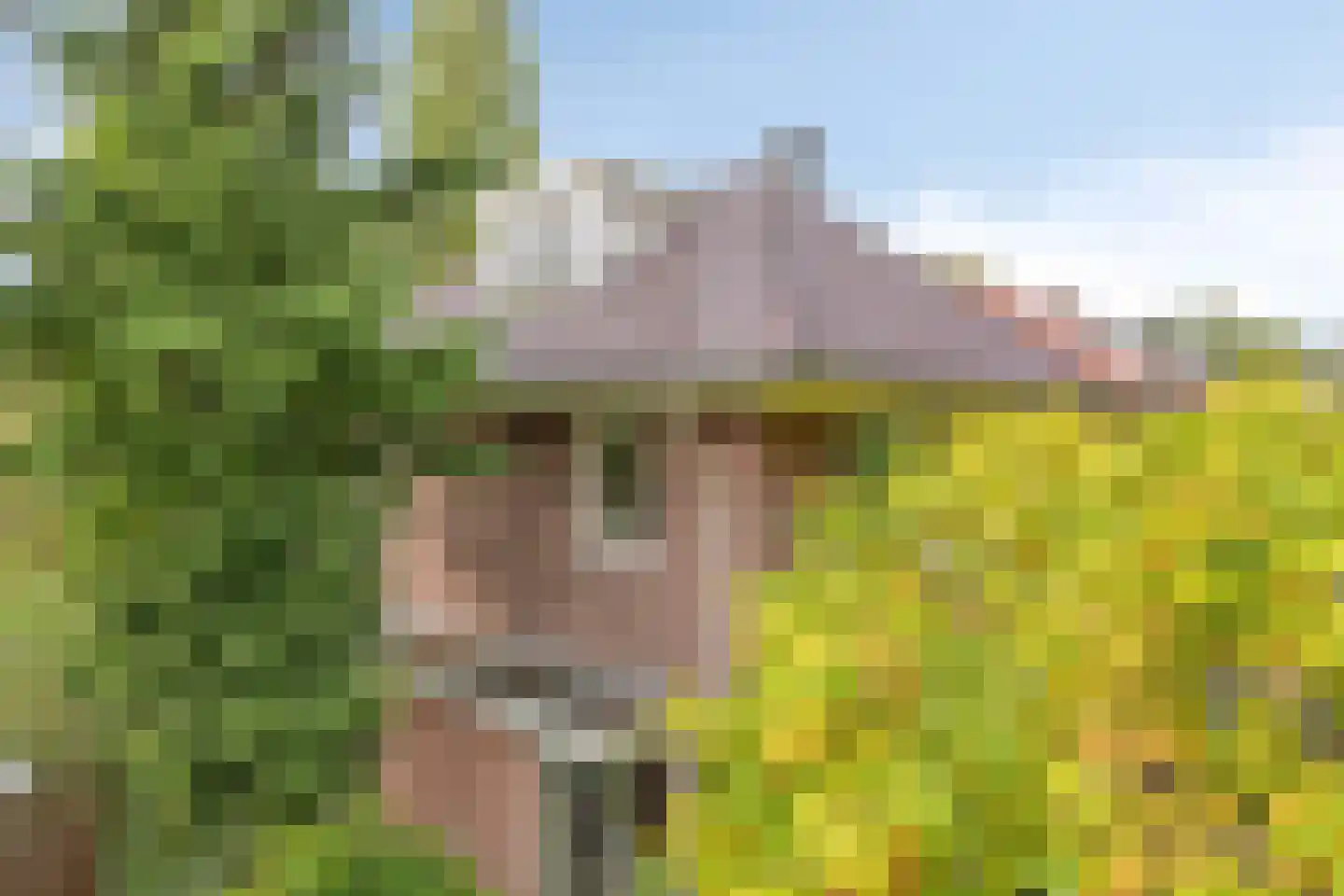 Van Aelstlaan 24 Apeldoorn thumbnail 41