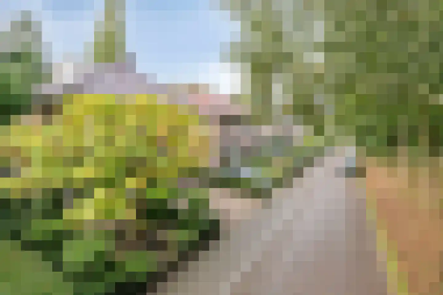 Van Aelstlaan 24 Apeldoorn thumbnail 45