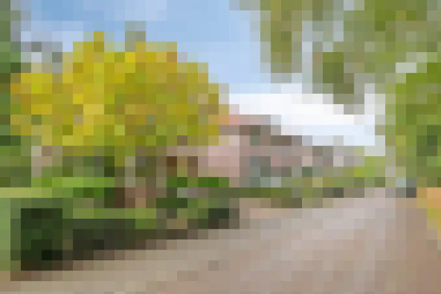 Van Aelstlaan 24 Apeldoorn thumbnail 46