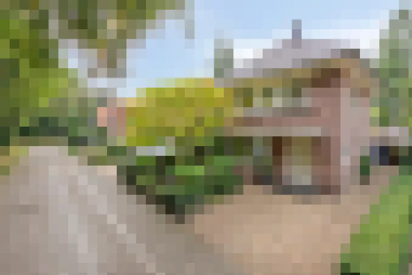 Van Aelstlaan 24 Apeldoorn thumbnail 48