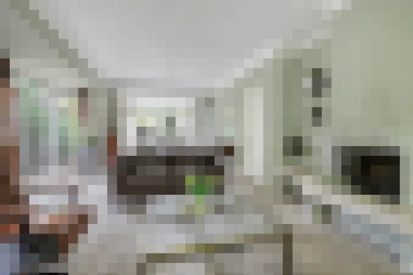 Van Aelstlaan 24 Apeldoorn thumbnail 5