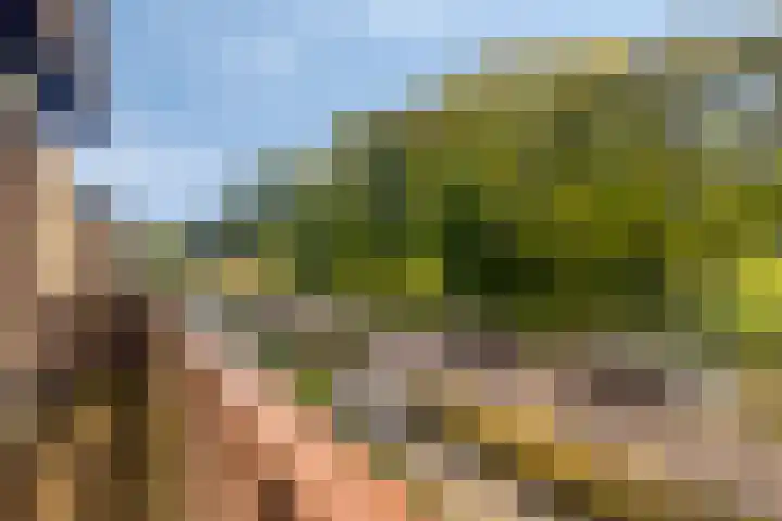 Van Aelstlaan 47 Veldhoven thumbnail 31