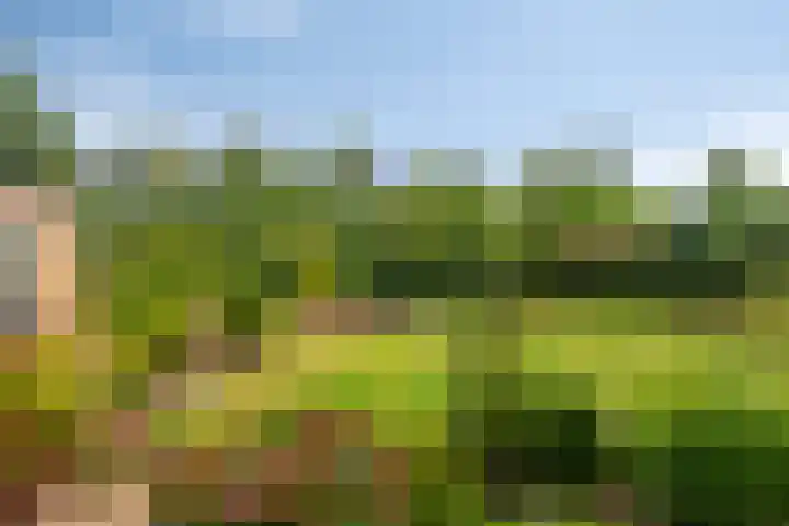 Van Aelstlaan 47 Veldhoven thumbnail 32