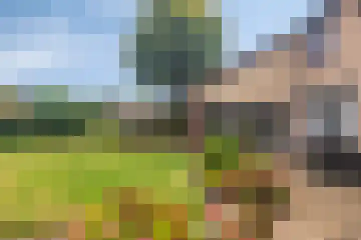 Van Aelstlaan 47 Veldhoven thumbnail 33