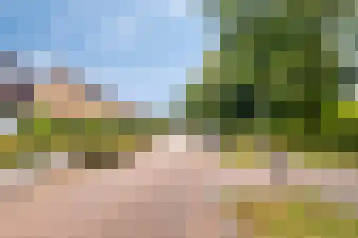 Van Aelstlaan 47 Veldhoven thumbnail 37