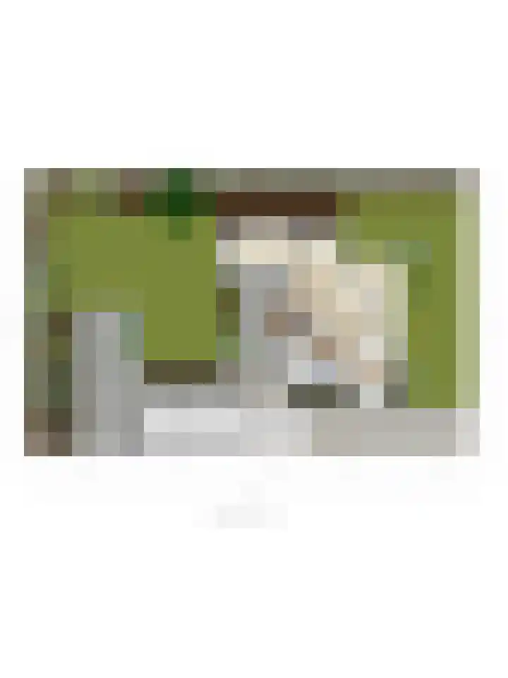 Van Aelstlaan 47 Veldhoven thumbnail 46