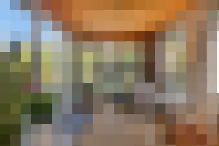 Van Aelstlaan 47 Veldhoven thumbnail 9