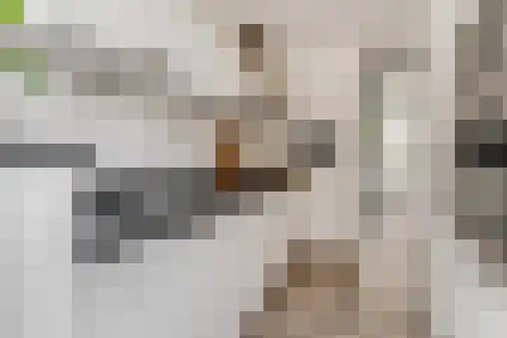 van Aemstelstraat 16 Doornenburg thumbnail 14