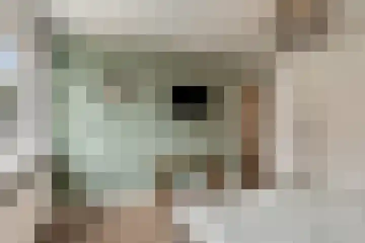 van Aemstelstraat 16 Doornenburg thumbnail 19