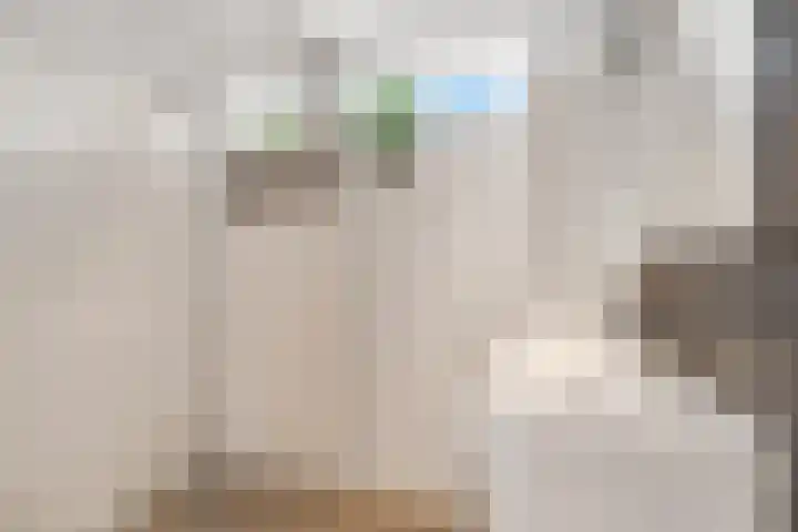 van Aemstelstraat 16 Doornenburg thumbnail 22
