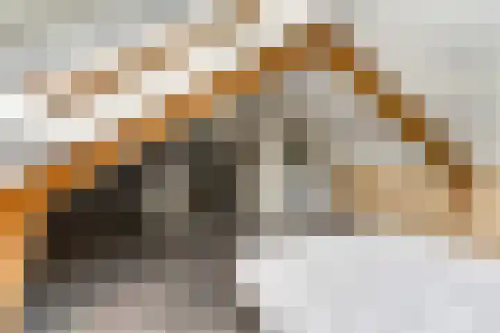 van Aemstelstraat 16 Doornenburg thumbnail 25