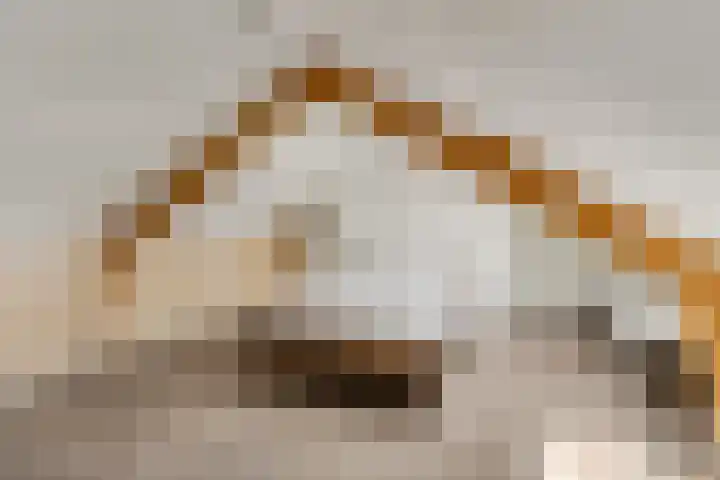van Aemstelstraat 16 Doornenburg thumbnail 26
