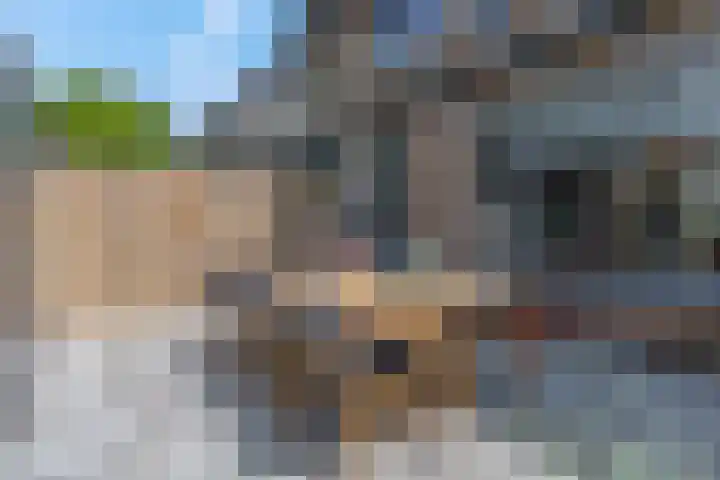 van Aemstelstraat 16 Doornenburg thumbnail 30