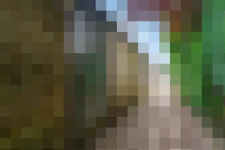 van Aemstelstraat 16 Doornenburg thumbnail 33
