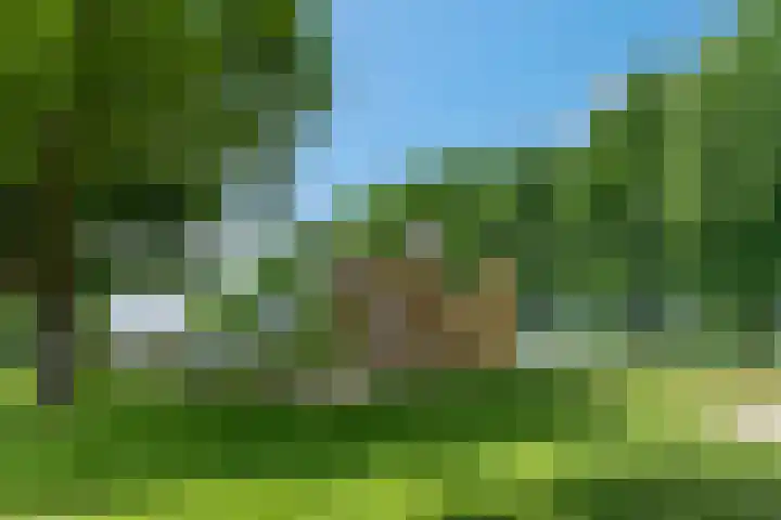 van Aemstelstraat 16 Doornenburg thumbnail 36