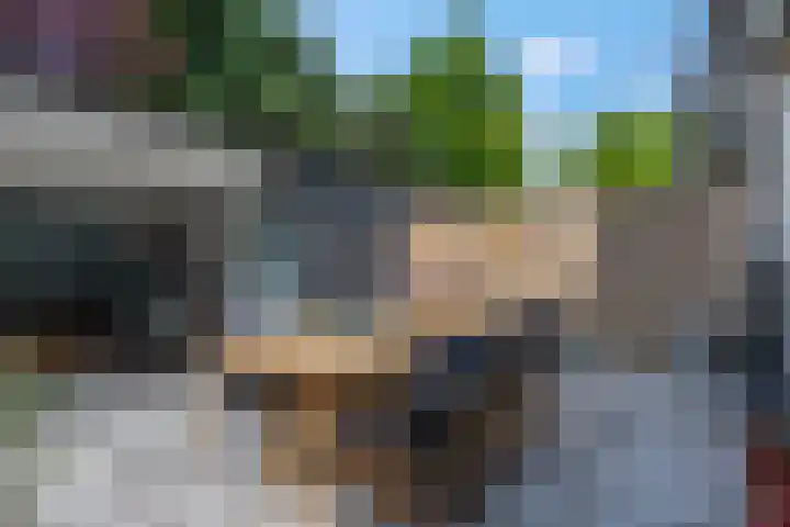van Aemstelstraat 16 Doornenburg thumbnail 4