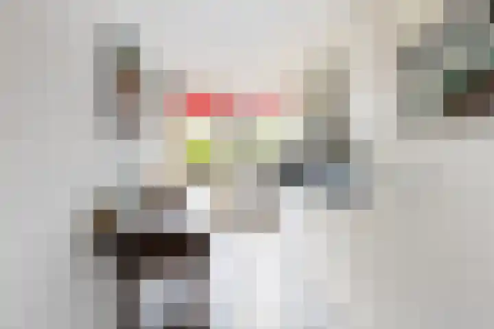 van Aerlestraat 1 Oirschot thumbnail 17