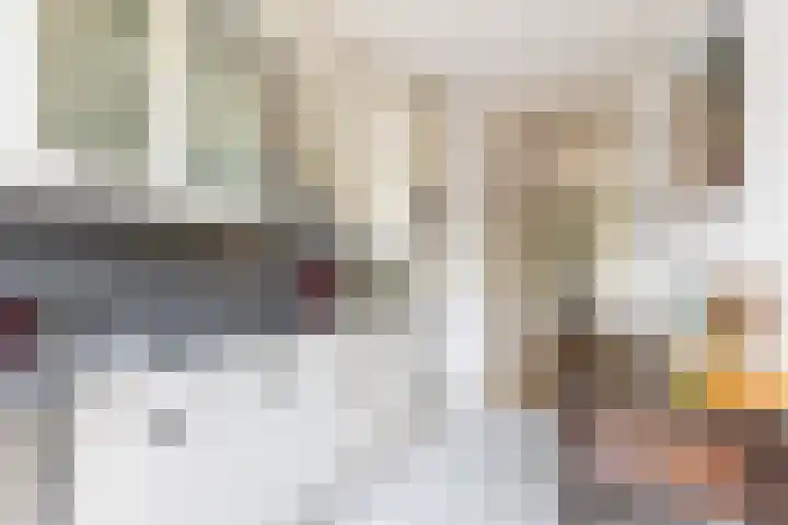 van Aerlestraat 1 Oirschot thumbnail 18