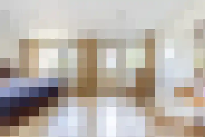 van Aerlestraat 1 Oirschot thumbnail 21
