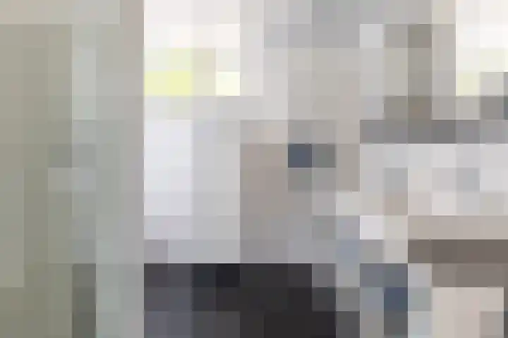 van Aerlestraat 1 Oirschot thumbnail 26