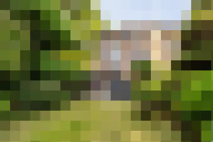 van Aerlestraat 1 Oirschot thumbnail 31