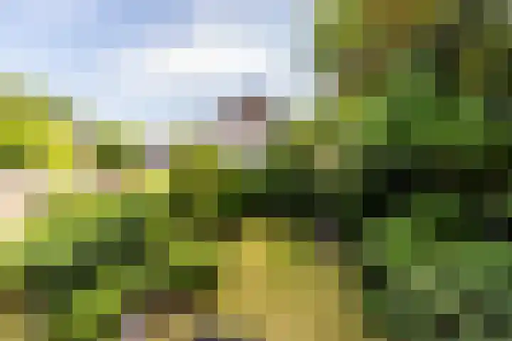 van Aerlestraat 1 Oirschot thumbnail 34