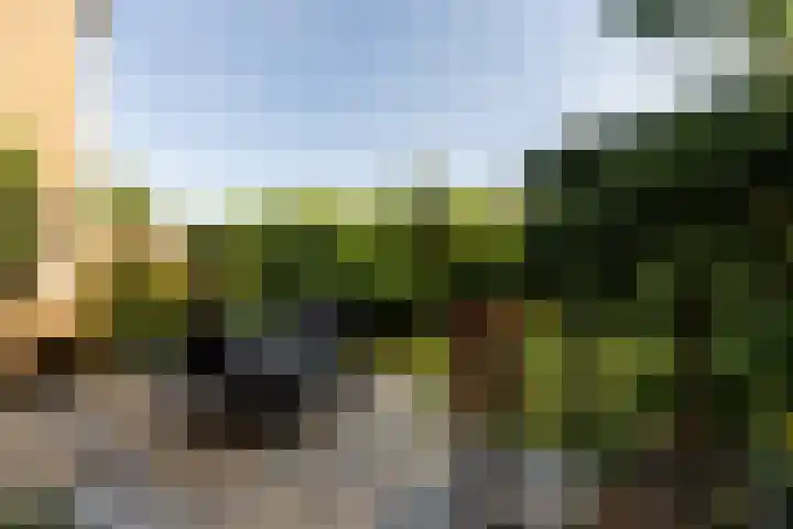 van Aerlestraat 1 Oirschot thumbnail 36