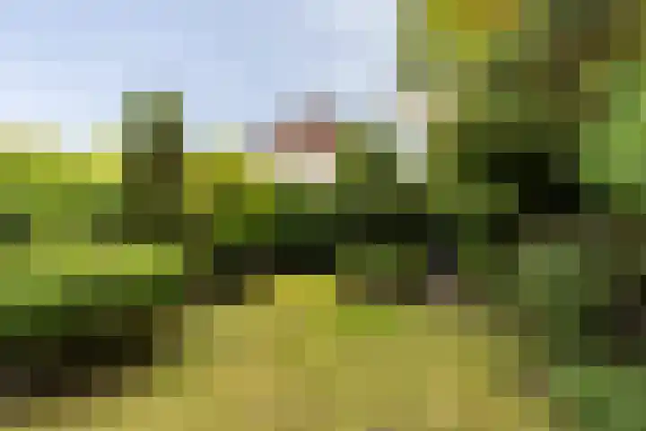van Aerlestraat 1 Oirschot thumbnail 37