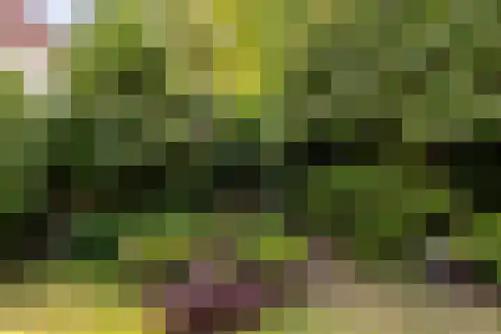 van Aerlestraat 1 Oirschot thumbnail 38