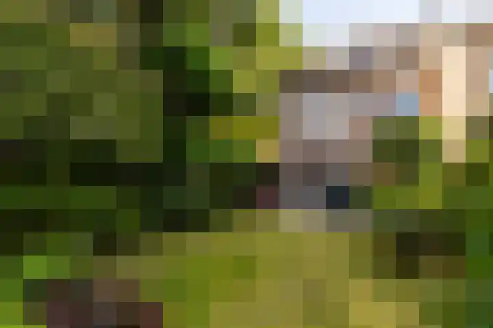van Aerlestraat 1 Oirschot thumbnail 39