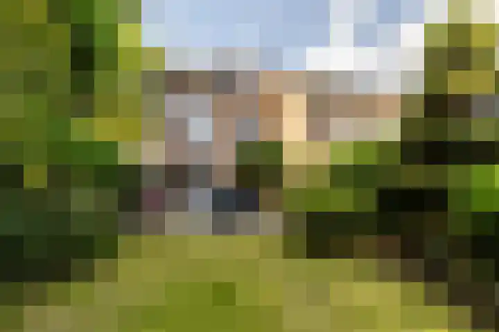 van Aerlestraat 1 Oirschot thumbnail 40