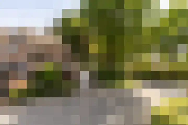 van Aerlestraat 1 Oirschot thumbnail 44