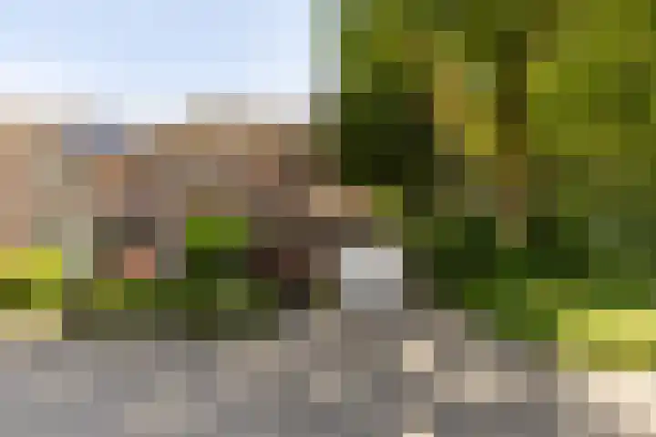 van Aerlestraat 1 Oirschot thumbnail 45
