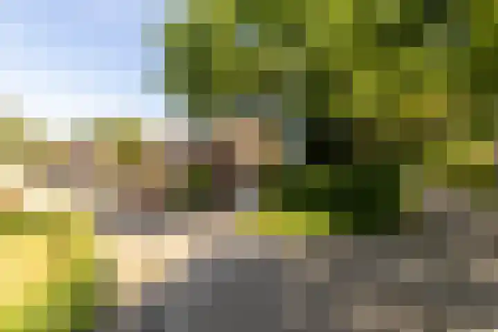 van Aerlestraat 1 Oirschot thumbnail 47