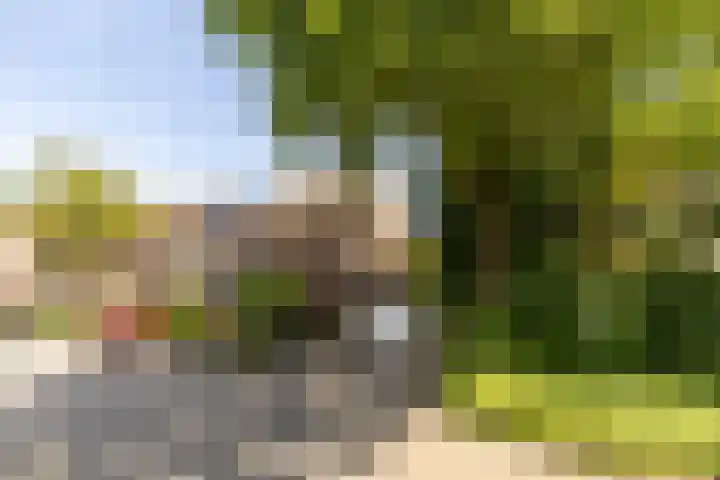 van Aerlestraat 1 Oirschot thumbnail 5