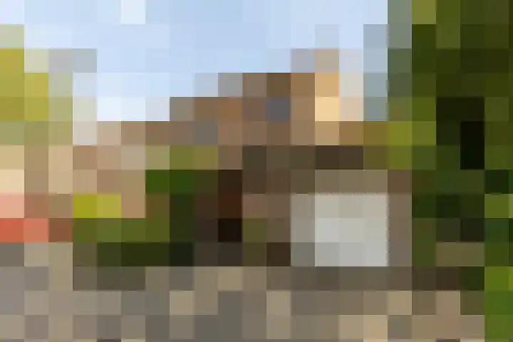 van Aerlestraat 1 Oirschot thumbnail 6