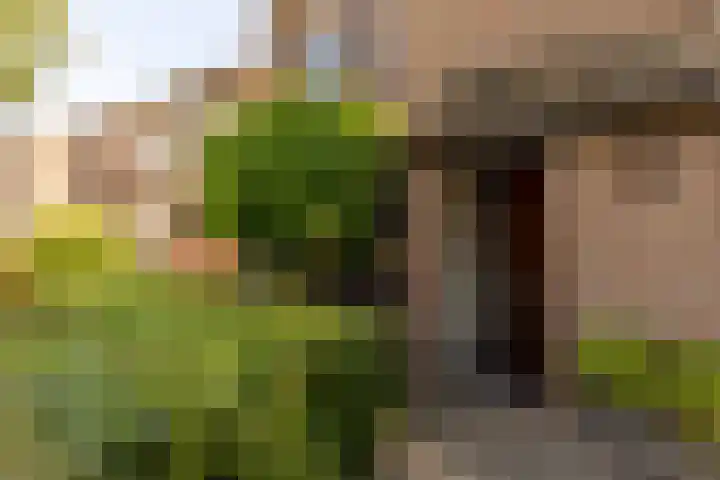 van Aerlestraat 1 Oirschot thumbnail 7
