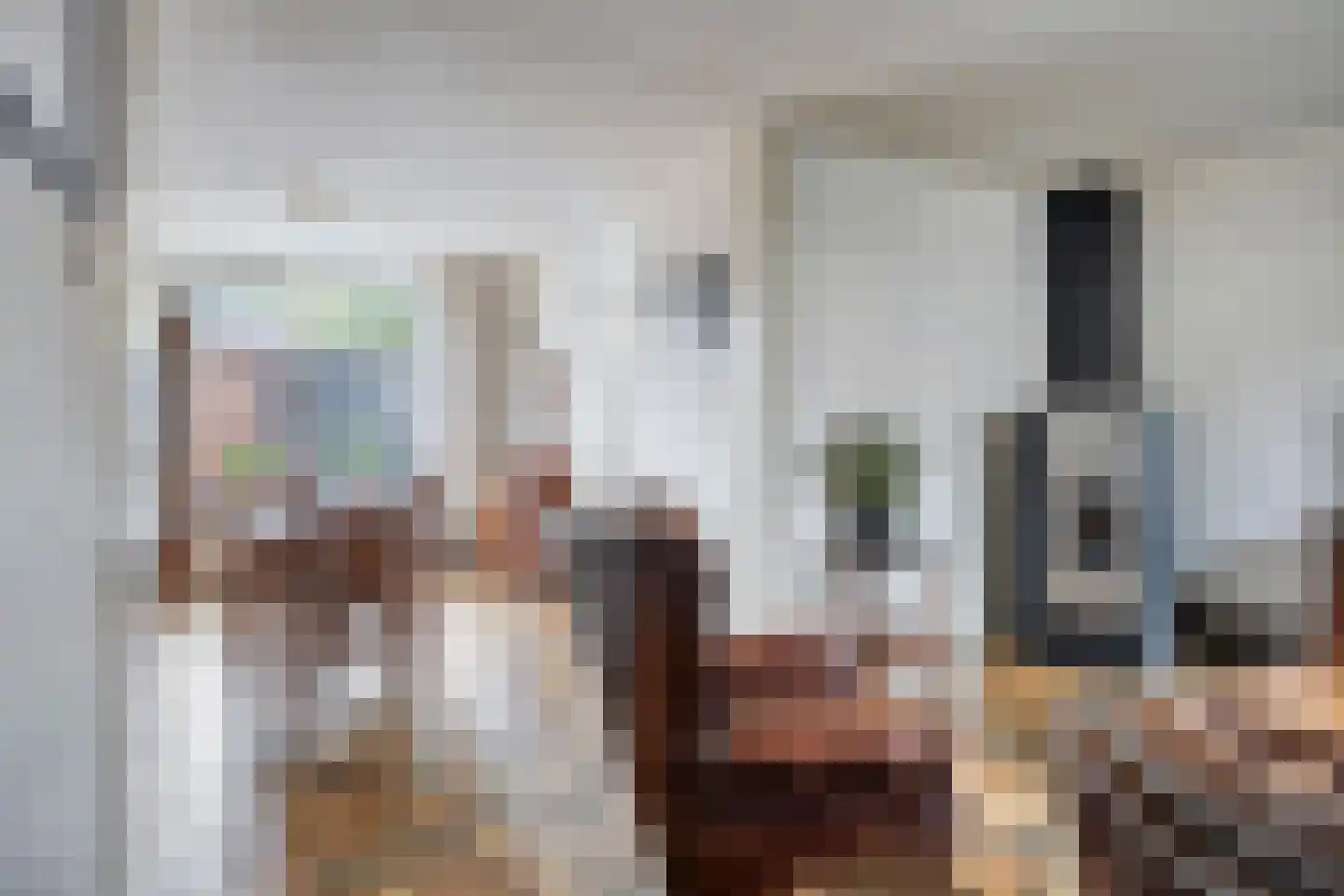 van Aerlestraat 27 Oirschot thumbnail 10