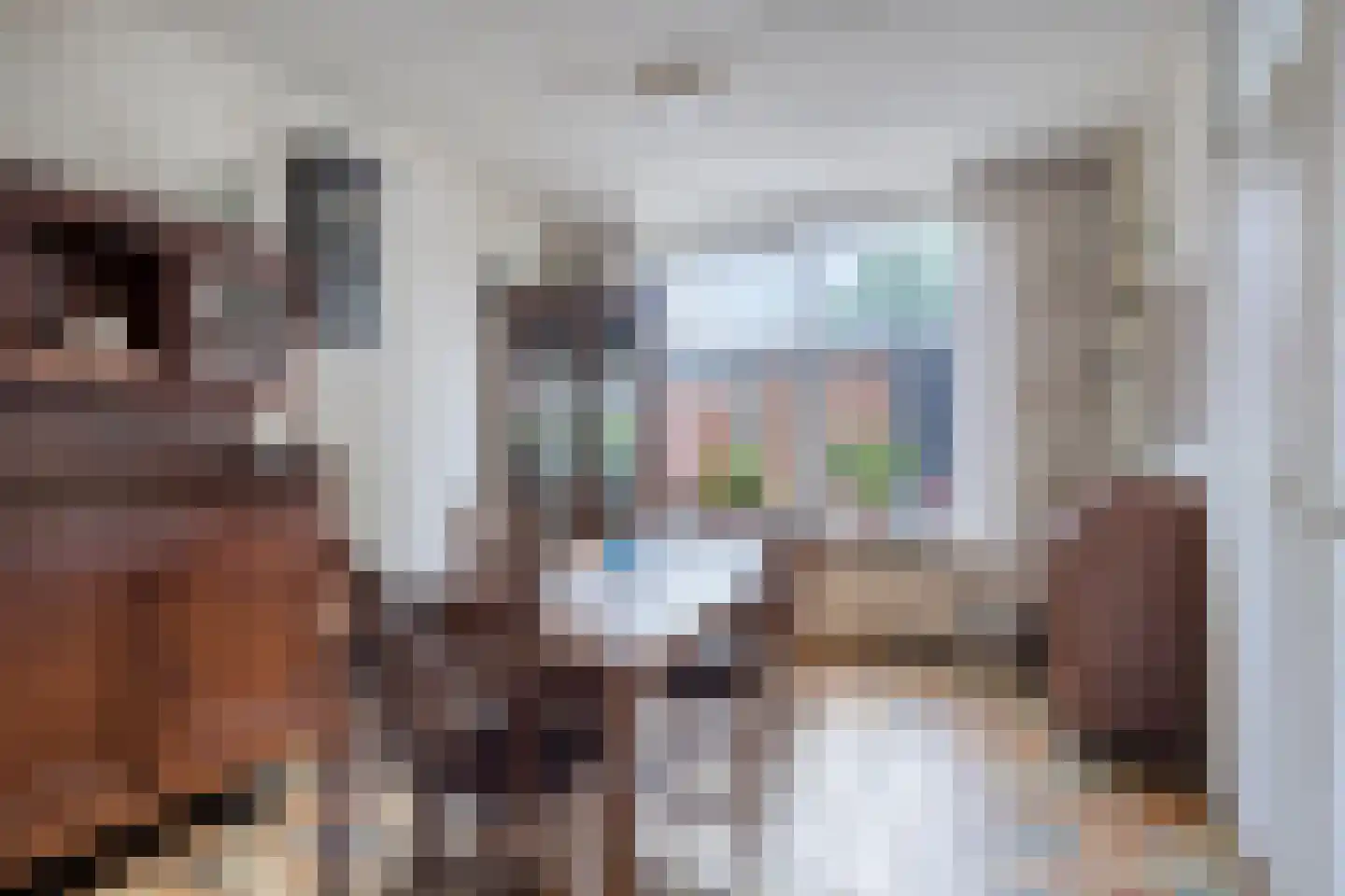 van Aerlestraat 27 Oirschot thumbnail 13