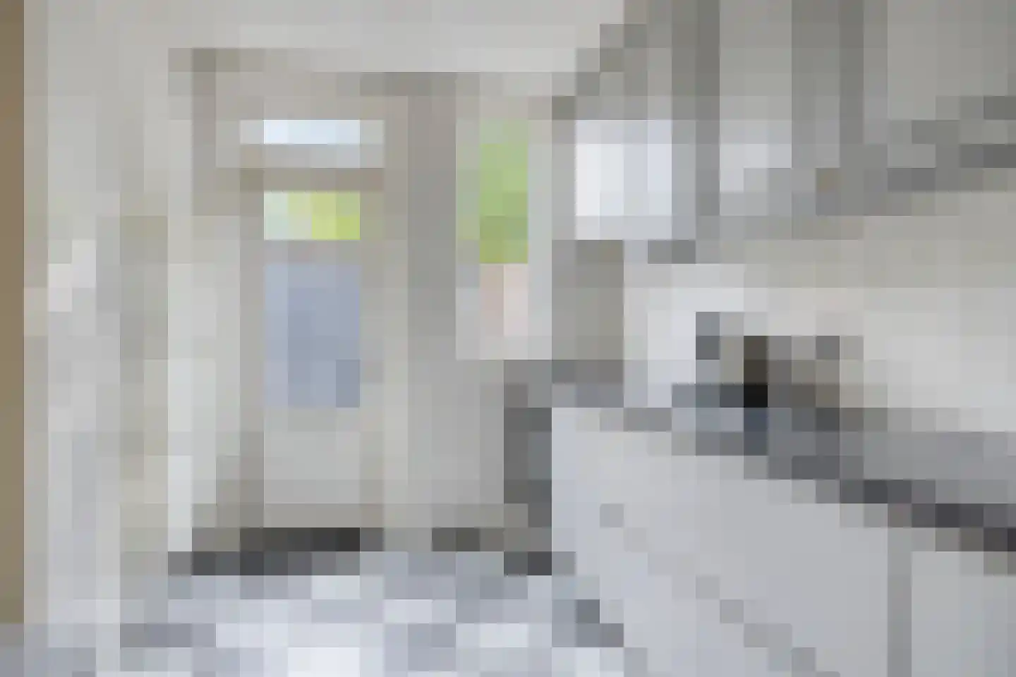 van Aerlestraat 27 Oirschot thumbnail 17