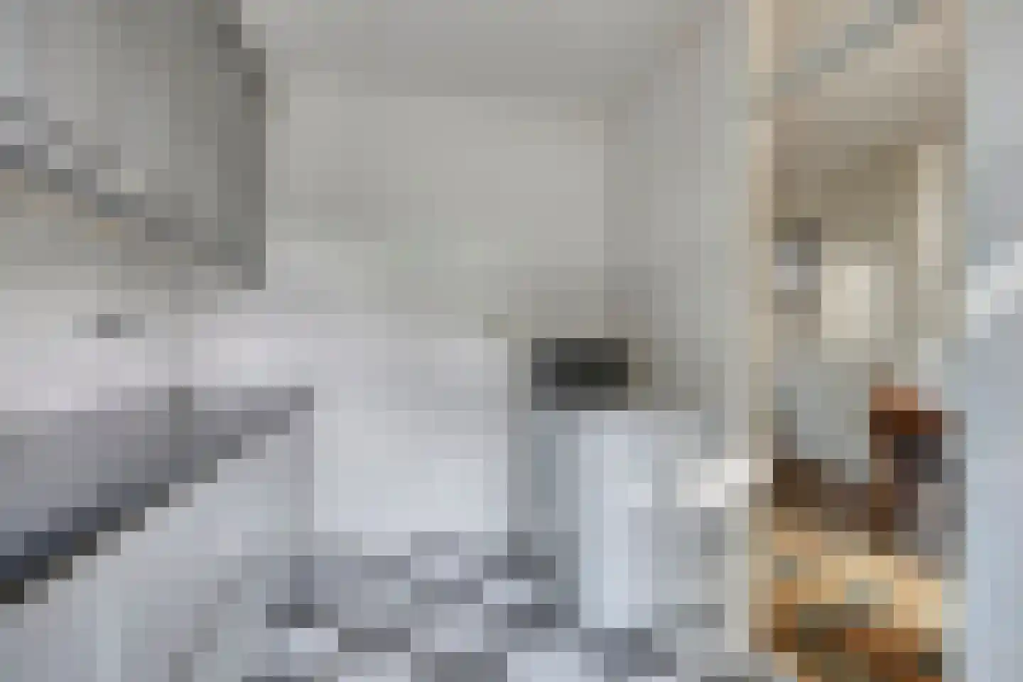 van Aerlestraat 27 Oirschot thumbnail 18