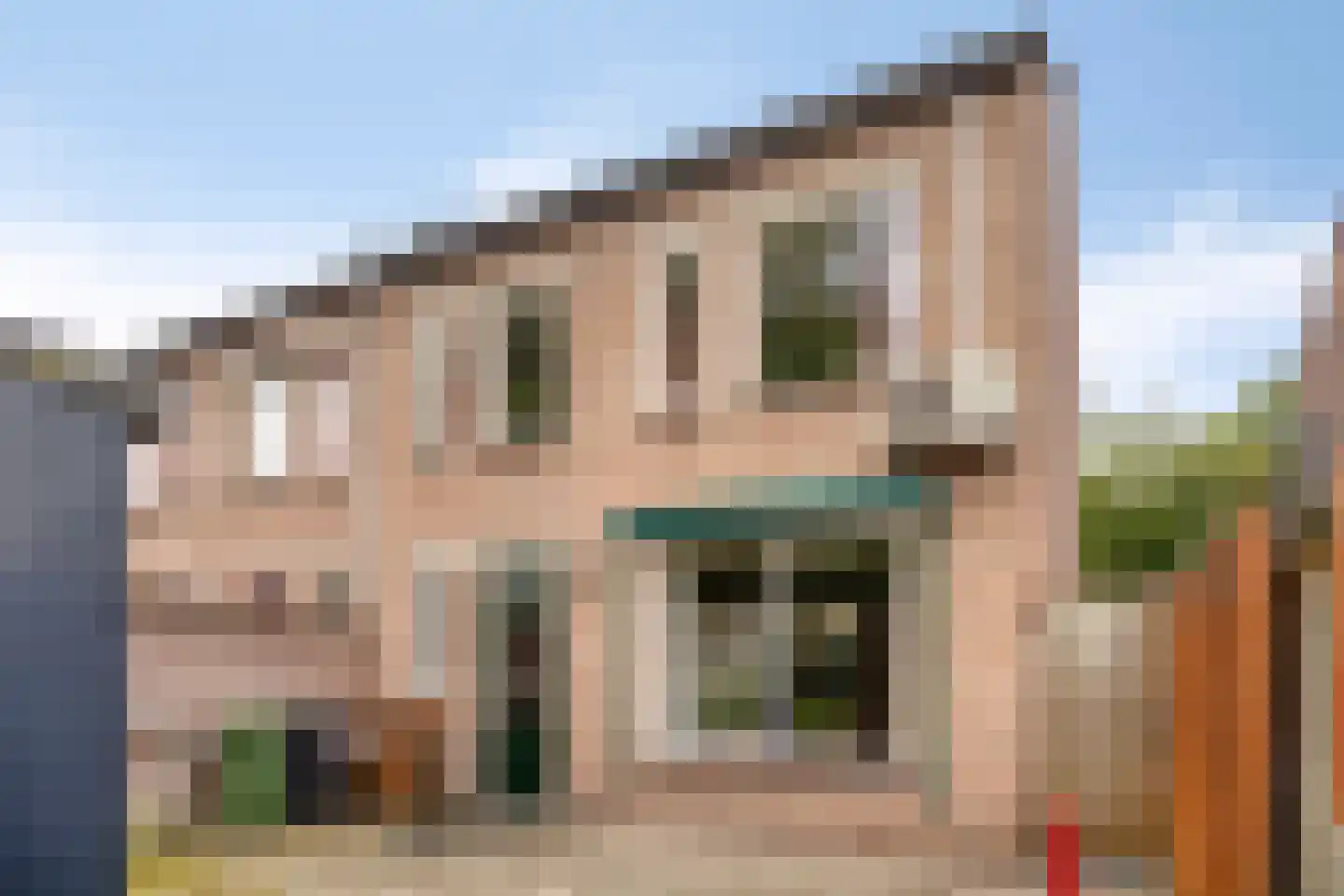 van Aerlestraat 27 Oirschot thumbnail 32