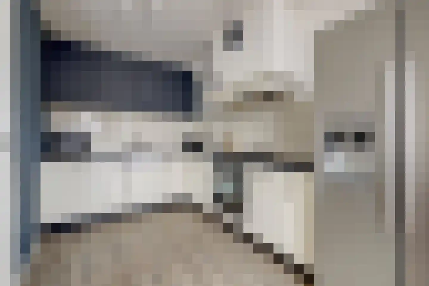 van Aerlestraat 5 Oirschot thumbnail 13