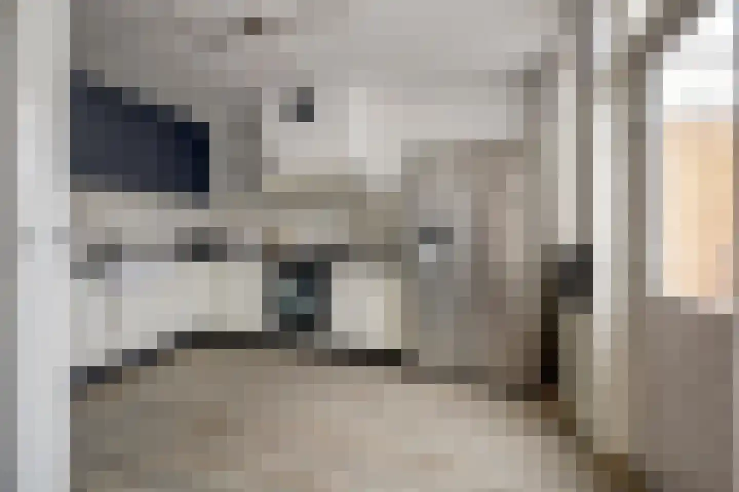 van Aerlestraat 5 Oirschot thumbnail 14