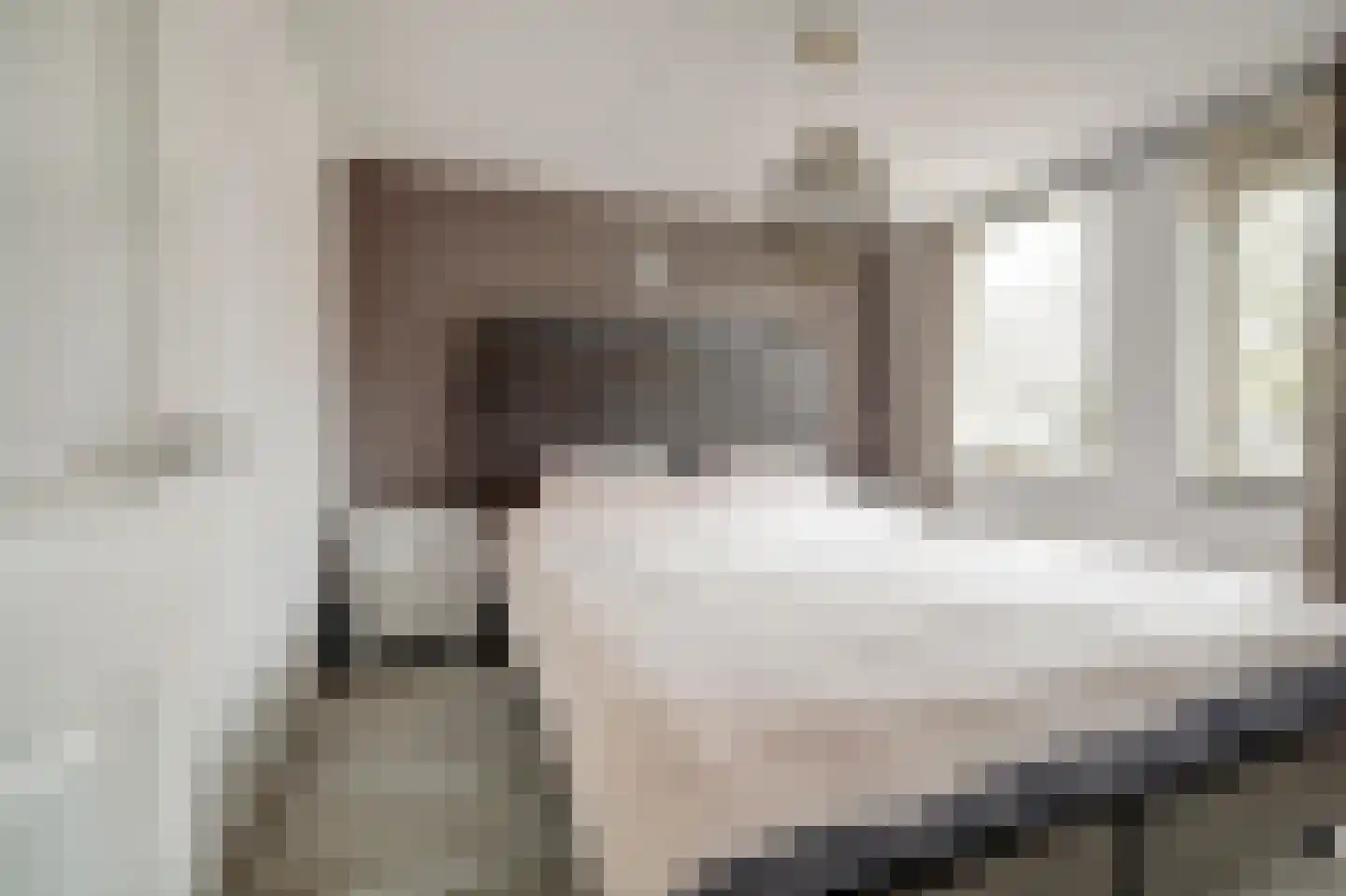 van Aerlestraat 5 Oirschot thumbnail 19