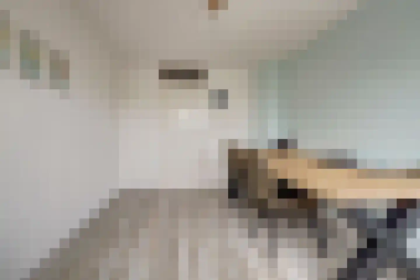 van Aerlestraat 5 Oirschot thumbnail 21